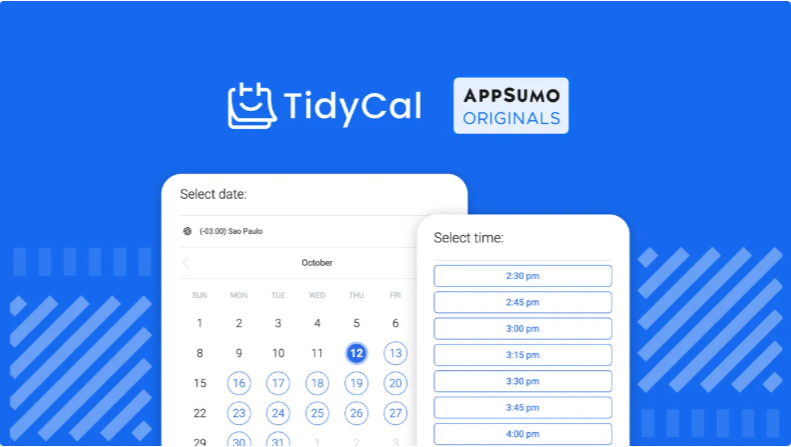 TidyCal scheduling software interface showing a calendar for date selection and available time slots.